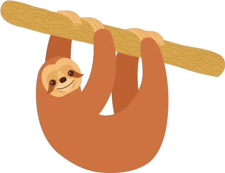  Sloth Cartoon Png Image