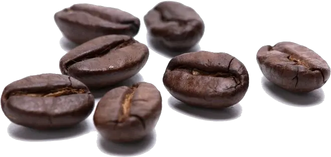  Coffee Beans Transparent Free Png Transparent Coffe Bean Png Free Beans Png