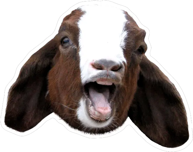  Goat Sound Board Screaming Goat Head Png Goat Transparent