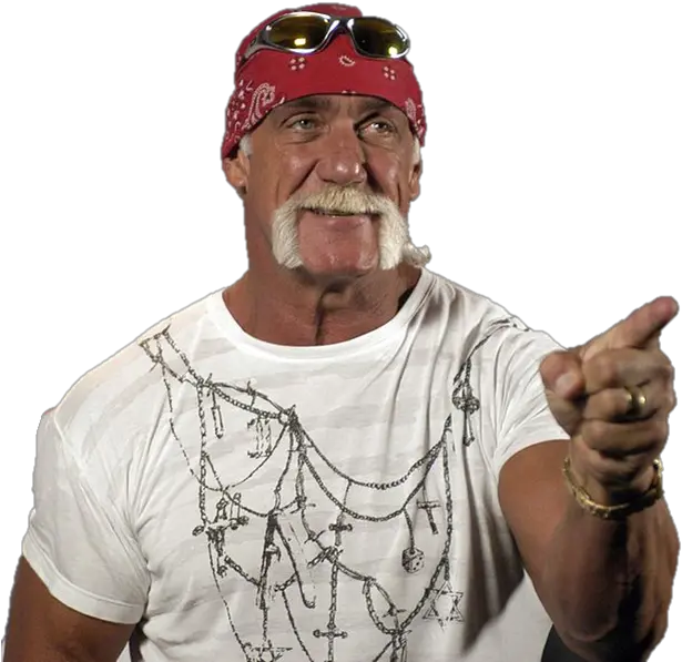  Hulk Hogan2 You Re Welcome Brother Meme Png Hulk Hogan Png