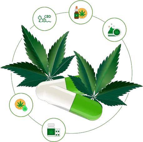  Cbd U0026 Marijuana Marketing Agency Cannabis Seo Medicinal Cannabis Png Pot Leaf Icon