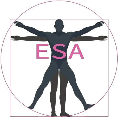  Exercise Science And Health Academy Vector Vitruvian Man Png Workout Silhouette Icon Vector Free