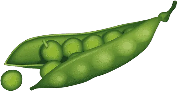  Buy Pea Local Pickup Only Planting Justice Peas Emoji Copy And Paste Png Emoji Icon Pictures