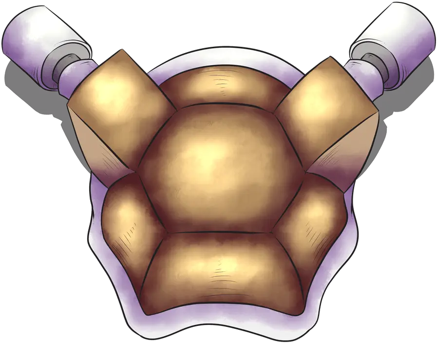  Blastoise Png Fist Blastoise Icon