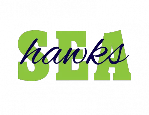  Seattle Seahawks Logo Graphic Design Png Seattle Seahawks Logo Png