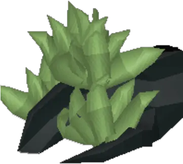  Sprouting Roots Old School Runescape Wiki Fandom Agave Png Roots Png