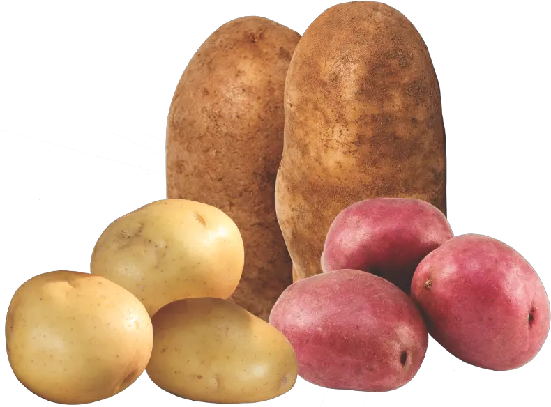  Progressive Produce Guide Tuber Png Potatoes Png