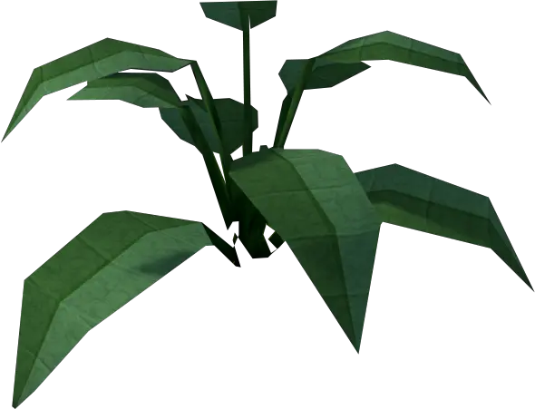  Large Leaf Bush Runescape Wiki Fandom Runescape Bush Png Bushes Png