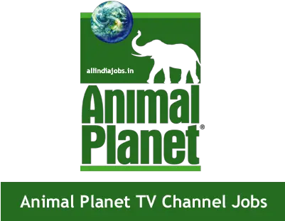  Animal Planet Tv Channel Jobs 2017 Animal Planet Png Animal Planet Logo Png