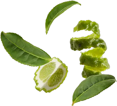  Decaffeinated Black Tea Leaves Bergamot Oil Earl Grey Tea Hoja De Bergamota Png Tea Leaves Png