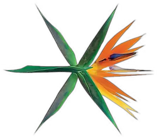  Exo Logo Ko Bop Comeback Png Sticker By Ana Exo The War Album Art Ko Png