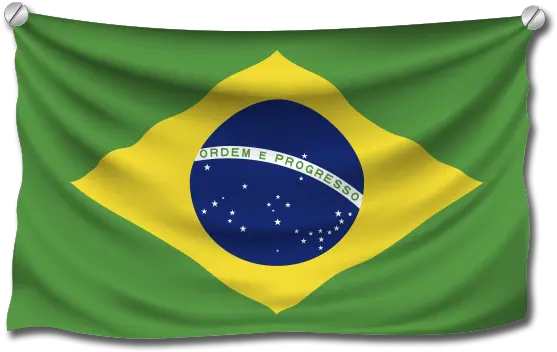  High School Study Abroad Brazil Join Today Ices Usa Brazilian Flag Png Brazil Flag Png