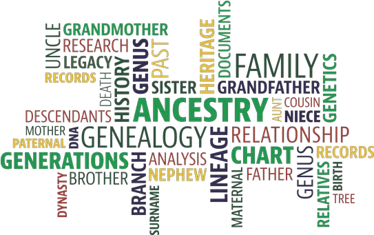  3 Free Genealogy U0026 Family Tree Vectors Pixabay Family History Month Png Family Word Png