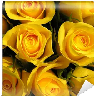  A Bouquet Of Yellow Roses Wall Mural U2022 Pixers We Live To Change Gele Rozen Png Yellow Roses Png