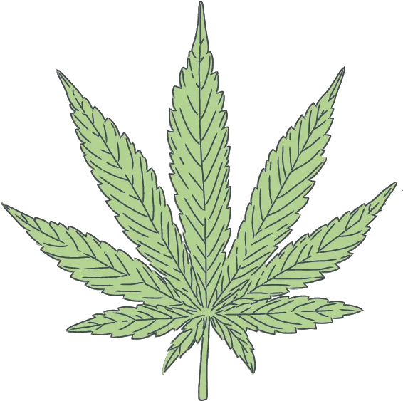  Simply Cannabis Inc Sativa Simply Cannabis Inc Marijuana Clipart Transparent Png Cannabis Leaf Png