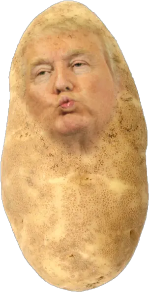  Potato Trump Jellyfruity The Anime Wiki Fandom Trump As A Potato Png Trump Png