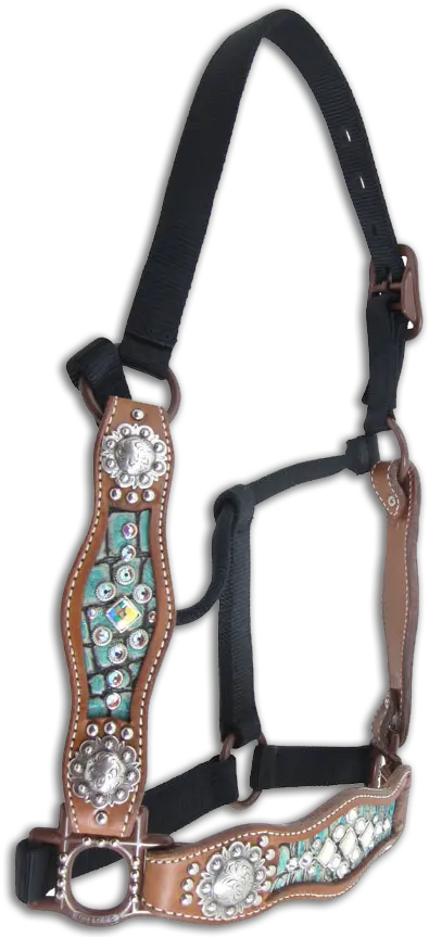  180 Saddles Spurs U0026 Tack Ideas Horse Martingale Png Used Custom Icon Flight Dressage Saddle