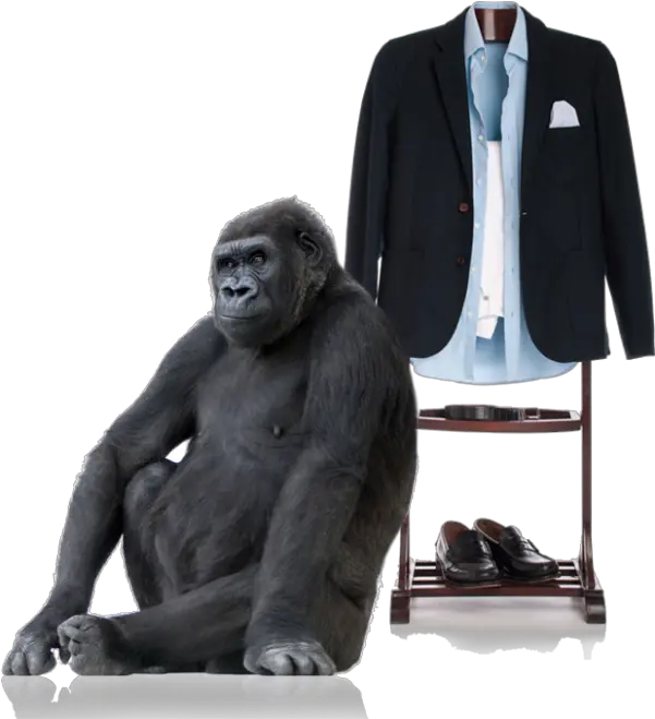  Sitting Gorilla Png Transparent Image 4 Free Transparent Siyarams Anti Corona Fabric Gorilla Transparent Background