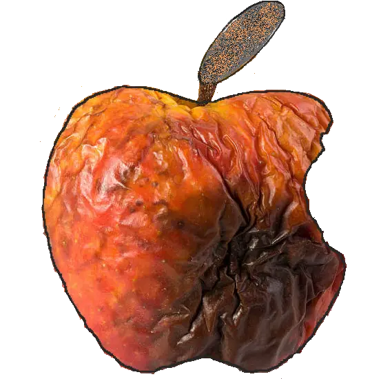  Ode To A Rotting Apple U2013 Designs Apple Bad Png Apple Transparent