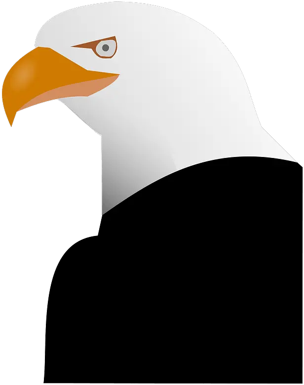  Library Of Thanksgiving Banner Royalty Free Strength Eagle Png Bald Eagle Png