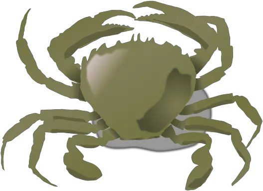  Annaleeblysse Blue Crab Png Svg Clip Animals Live Both In Land And Water Crab Icon