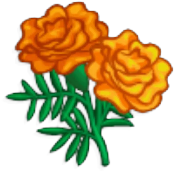  Marigold Clipart Png Transparent Marigold Clipart Marigold Png