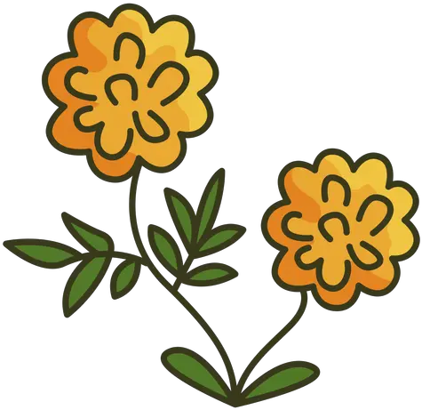  Mexican Marigold Colorful Icon Stroke Clip Art Png Marigold Png