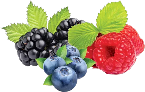  Berry Berry Mix Png Berry Png