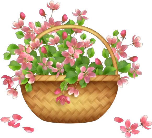  Hanging Basket Pink Plant For Easter Transparent Hanging Basket Of Flowers Png Basket Transparent