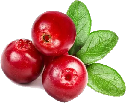  Payot Express 3 Lindenberry Fruit Png Cranberry Png