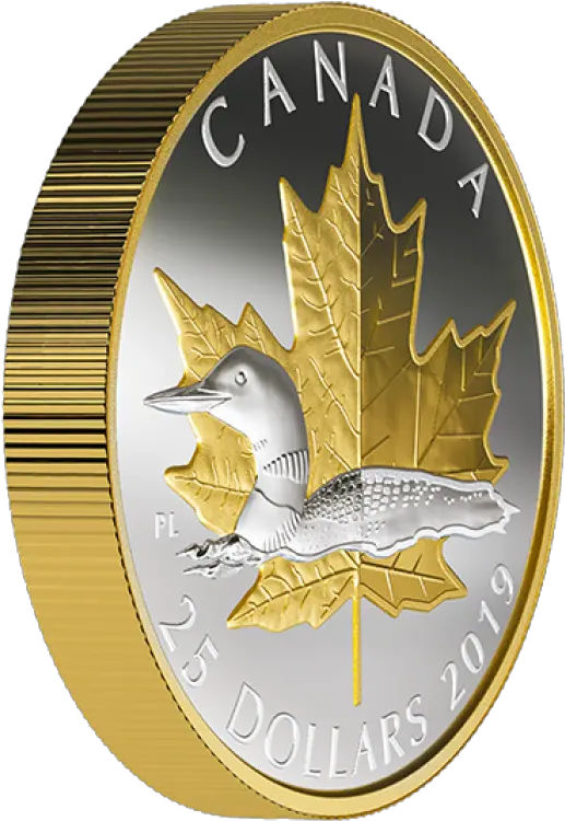  2019 Canadian 25 Timeless Icons Loon 1 Oz Fine Silver Canadian Piedfort Gold Coin Png Loon Icon