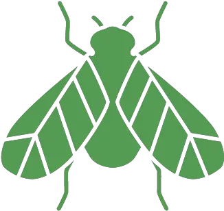  San Diego Wasp Control U0026 Removal From 1 Per Day Png Fly Repellent Icon