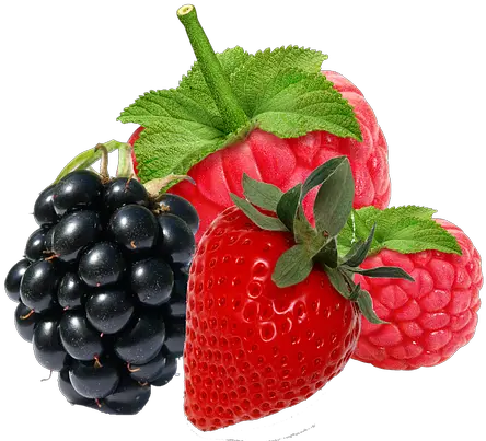  Png Transparent Berries Fresh Berries Png Berries Png