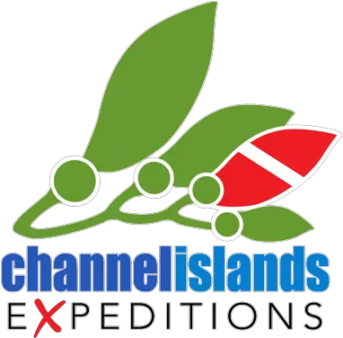  Northern Islands Dive 3 Days Channel Islands Expeditions Png 30 Sided Dive Icon