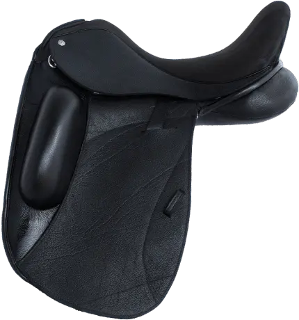  Icon Star Custom Saddlery Cmf Equestrian Shop Online Stubben Dressage Saddles Png Horse Rider Icon