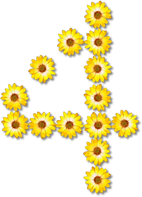  Sunflower Seedplantflower Png Clipart Royalty Free Svg Png Sunflower Number Png Sun Flower Png