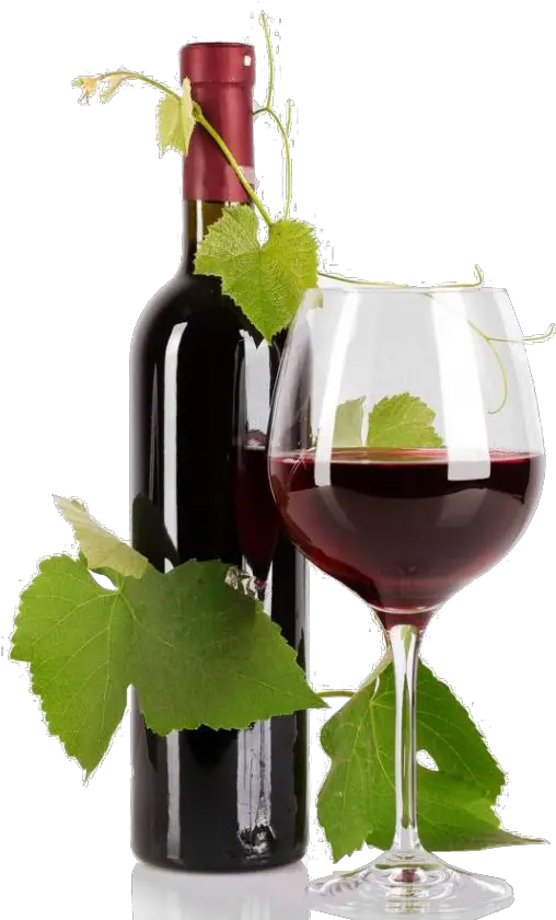  Home Housewine Housewine Home Housewine Wine Glass Png Glass Of Wine Png