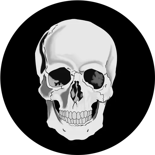  Amazoncom Scary Skeleton Prank Appstore For Android Skull Queen Png Spooky Skeleton Transparent