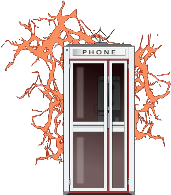  Doortreewindow Png Clipart Royalty Free Svg Png Bill And Ted Phone Booth Silhouette Window Png