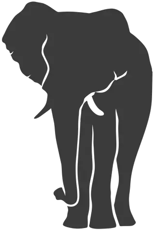  Elephant Ear Ivory Trunk Silhouette La Silueta De Un Elefante Png Elephant Silhouette Png