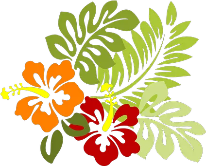  1000 Free Tropical U0026 Hawaii Illustrations Pixabay Hibiscus Clip Art Png Tropical Flowers Png