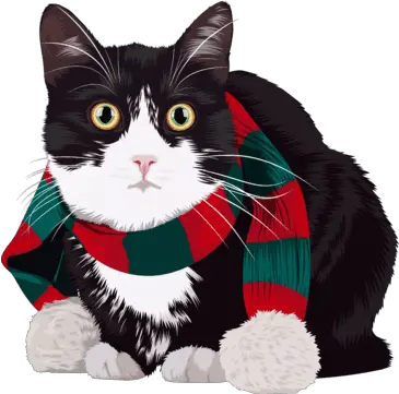  Cartoonize Your Cat Gatos De Navidad Png Christmas Cat Icon