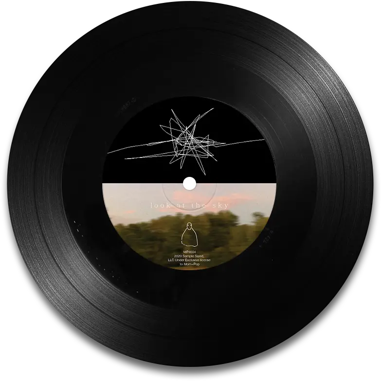  Porter Robinson Look At The Sky Vinyl Single Waterloo Porter Robinson Look At The Sky Vinyl Png Who Is In Def Jam Icon