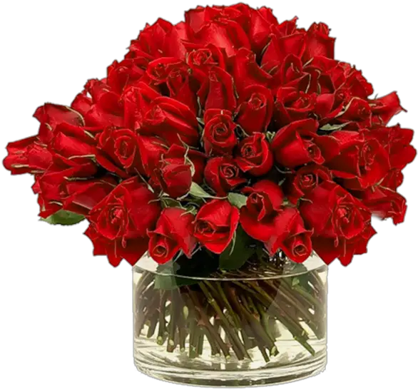  Rose Png Flower Images Free Download Rose Vase Png Flower Bunch Png