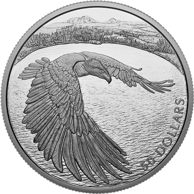  5 Oz Pure Silver Coin U2013 Courageous Bald Eagle Mintage Bald Eagle Png Bald Eagle Transparent