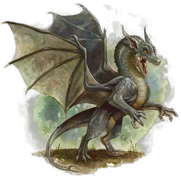  Gray Dragon Dungeons U0026 Dragons Fandom Dnd Baby Black Dragon Art Png Drogon Png