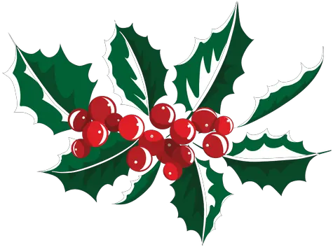  Mistletoe Icon 8 Transparent Png U0026 Svg Vector Christmas Clipart Mistletoe Silhouette Mistletoe Transparent