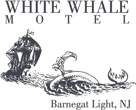  White Whale Motel Barnegat Light New Jersey Language Png Motel 6 Logo