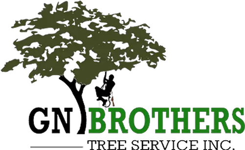  Tree Service Gn Brothers United States Interior Design Png Tree Graphic Png