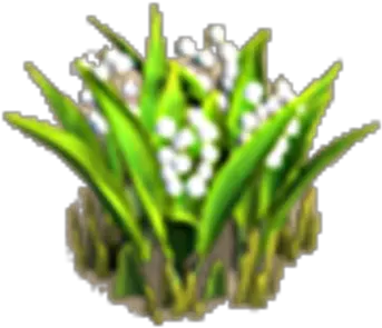  Lilies Of The Valley Resource Knights And Brides Wiki Agave Png Lily Of The Valley Png